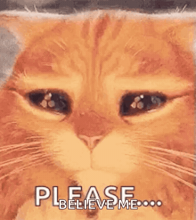 White Dog With Blue Eyes On Pink Surface GIF