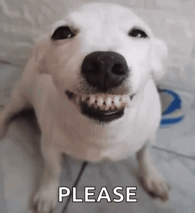 White Dog With Braces Smiling GIF