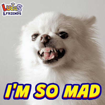 White Dog With Lucas And Friends Logo GIF