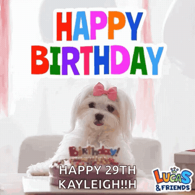 White Dog With Pink Bow And Birthday Cake GIF