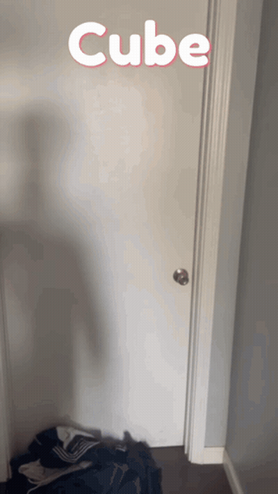 White Door Saying Cube GIF
