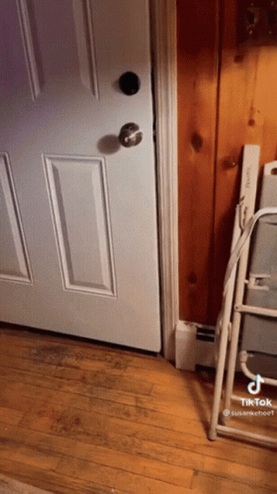 White Door With Black Knob Open To Wooden Wall GIF