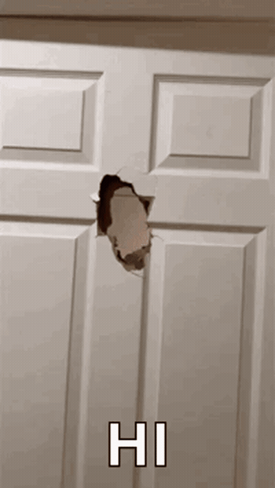 White Door With Hole Saying Hi GIF