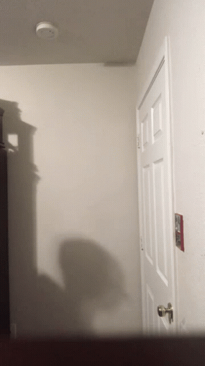 White Door With Smoke Detector GIF