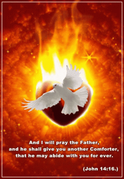 White Dove Flying Over Burning Heart GIF