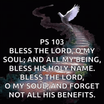 White Dove Flying Over Staircase With Bible Verse GIF