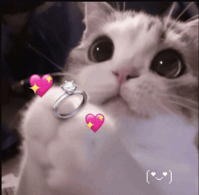 White Dove Flying With Wings Spread Saying Peace GIF