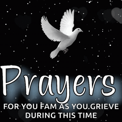 White Dove Prayers For You Fam As You Grieve During This Time GIF