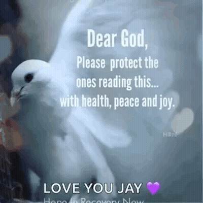White Dove Sitting On Tree Branch With Quote GIF