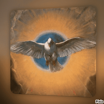 White Dove With Wings Spread And Circle Background Pixiz GIF