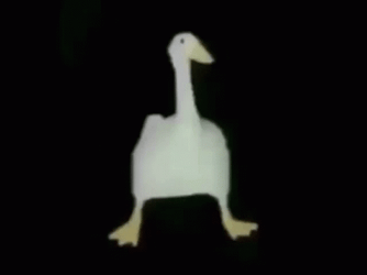 White Duck Doing Break Dance GIF