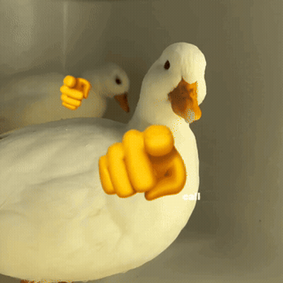 White Duck Pointing Yellow Thumb At Camera GIF