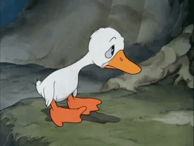 White Duck Standing On Rock GIF