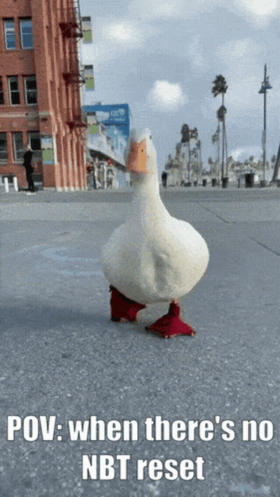 White Duck With Red Feet Walking Sidewalk POV When There's No GIF