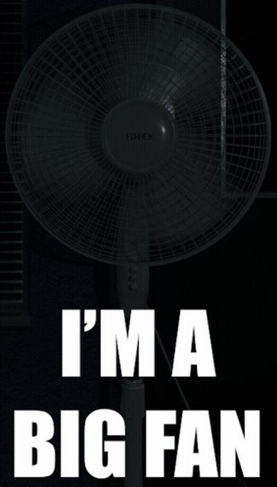 White Fan Saying Im A Big Fan GIF