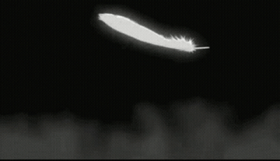 White Feather Flying In Dark Room GIF