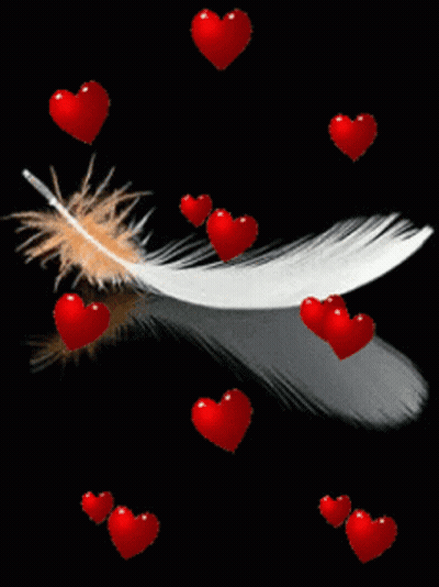 White Feather With Red Hearts GIF