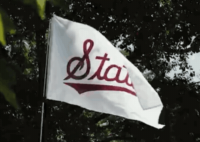 White Flag Saying Stau Waving GIF