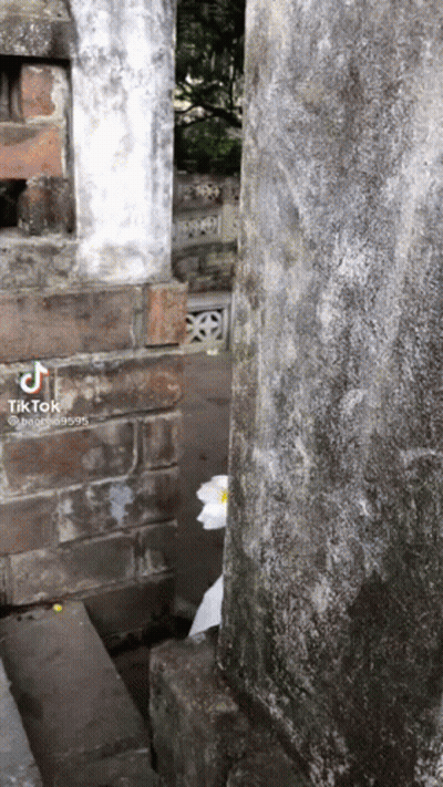White Flower Between Two Brick Pillars In Cemetery GIF