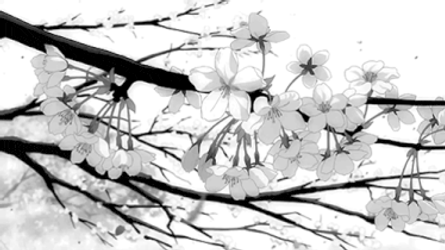 White Flower GIF