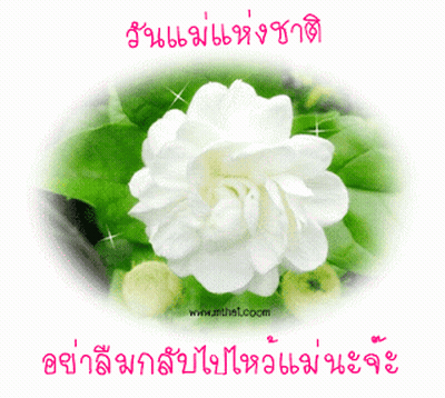 White Flower Green Leaves Www.mhs1.com GIF