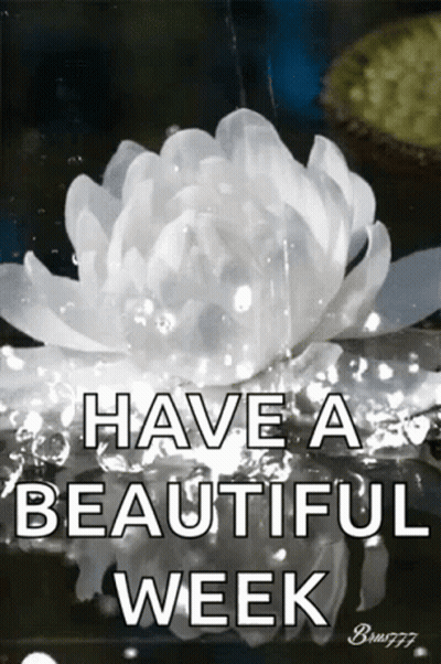 White Flower Saying Have A Beautiful Week GIF