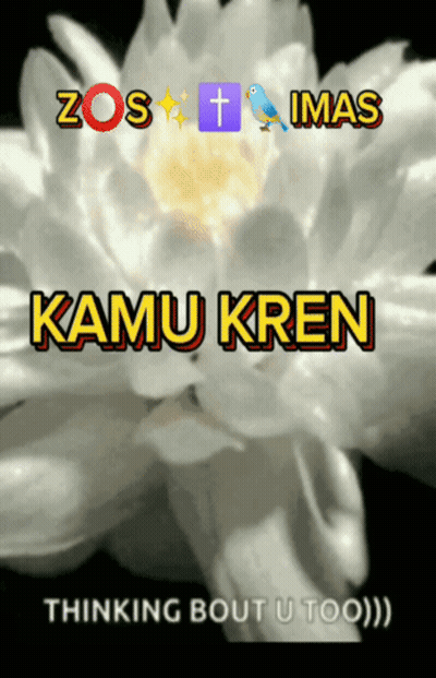 White Flower Saying Kamu Kren Thinking Bout U Too GIF