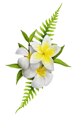 White Flower With Green Leaves Sticker