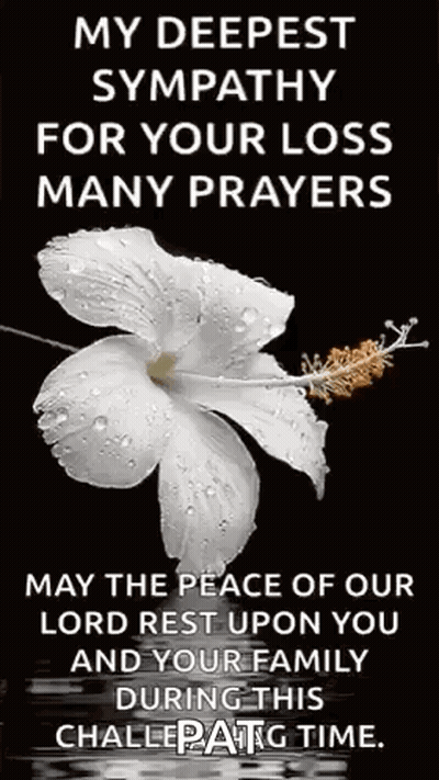 White Flower With Water Drops Prayer GIF