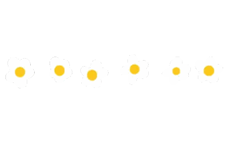 White Flowers With Yellow Centers Sticker