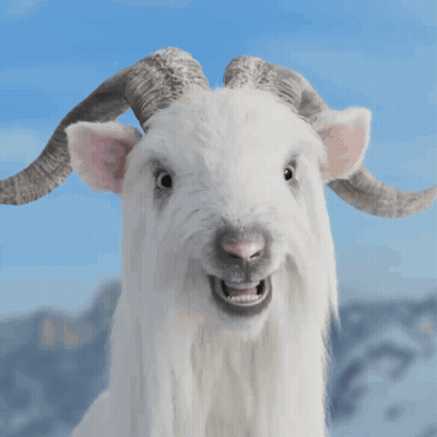 White Goat Screaming With Mouth Open GIF