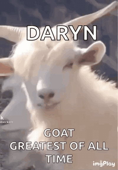 White Goat With Horns Daryn Goat Greatest Of All Time GIF