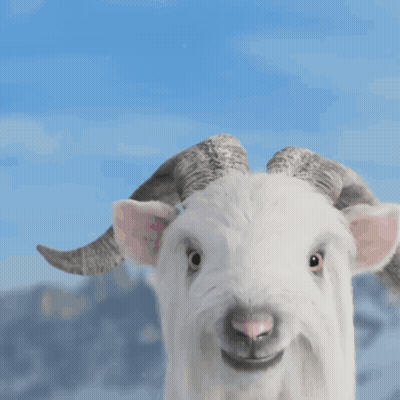 White Goat With Horns In Snow Mouth Open GIF