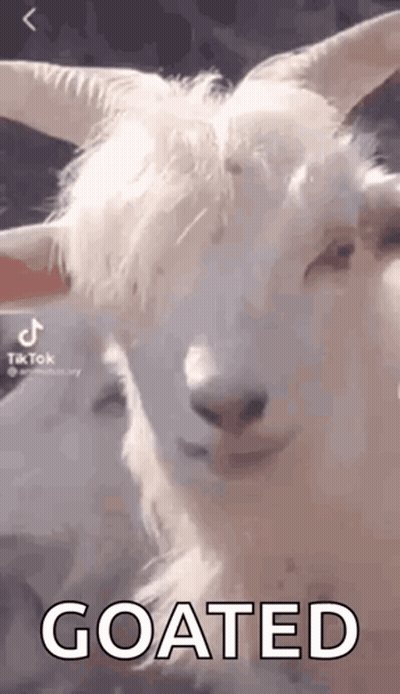 White Goat With Horns Saying Goated GIF