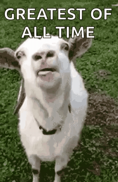 White Goat With Tongue Out Saying Greatest Of All Time GIF