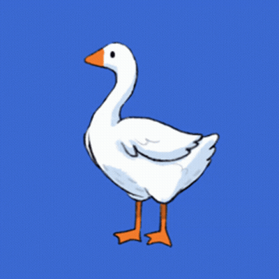 White Goose With Orange Beak GIF