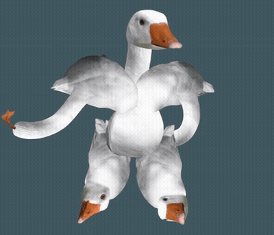 White Goose With Red Beak Surrounded By Geese GIF