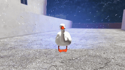 White Goose With Red Feet Standing On Concrete Floor GIF