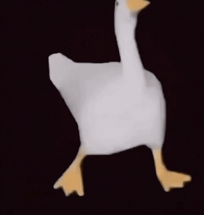White Goose With Yellow Beak And Legs Walking GIF