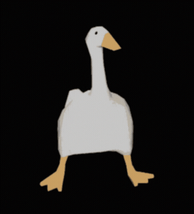 White Goose With Yellow Beak Running GIF