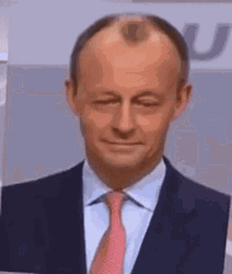 White Guy Blinking Friedrich Merz Amazed GIF