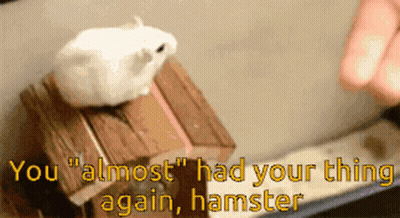 White Hamster Sitting On Wooden Box Saying You Almost Had Your Thing Again GIF