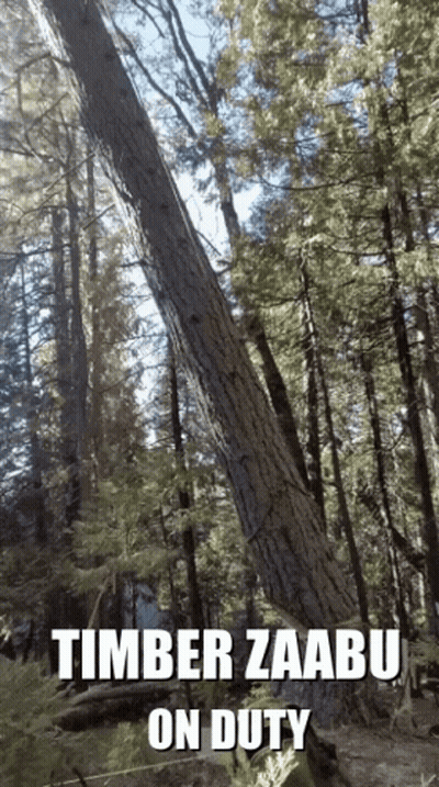 White Heart With Word Timber GIF
