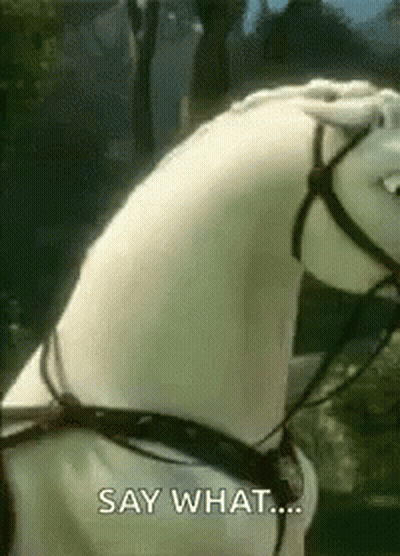 White Horse With Black Bridle Saying Say What GIF