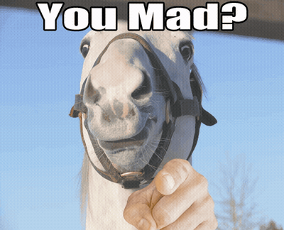 White Horse With Bridle And Hand Pointing Saying You Mad GIF