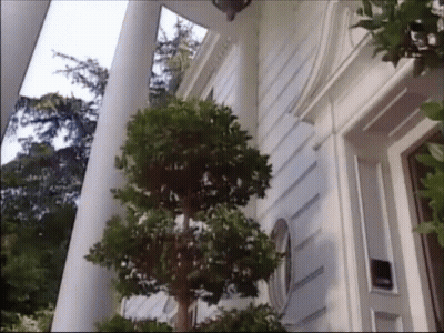 White House With Columns And Trees GIF