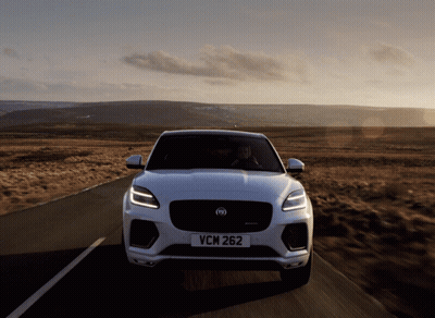White Jaguar With License Plate VCM 262 GIF
