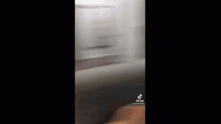 White Kid Nodding Sarcasm  GIF