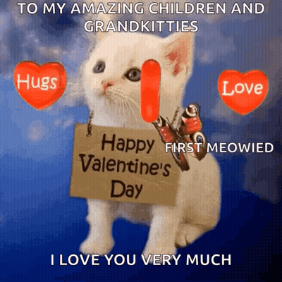 White Kitten Holding Happy Valentine's Day Sign GIF