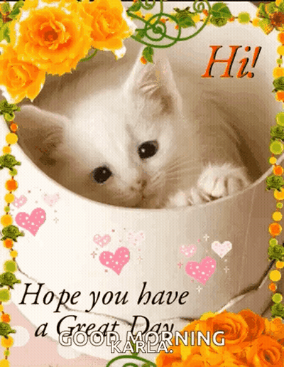 White Kitten In Cup With Flowers Saying Hope You Have A Great Day GIF